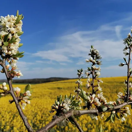 דירה Haus Strandoase הרינגסדורף
