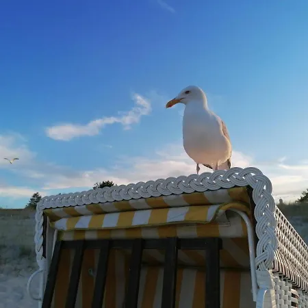 Haus Strandoase דירה *